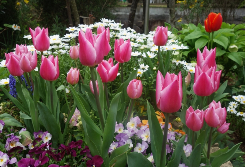 f:id:dancingbrave1986:20170417132425j:image