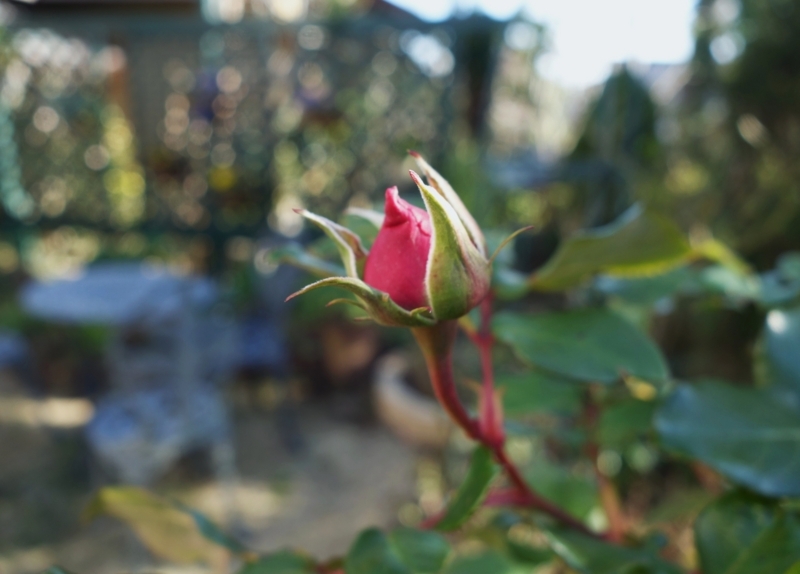 f:id:dancingbrave1986:20180107024848j:image