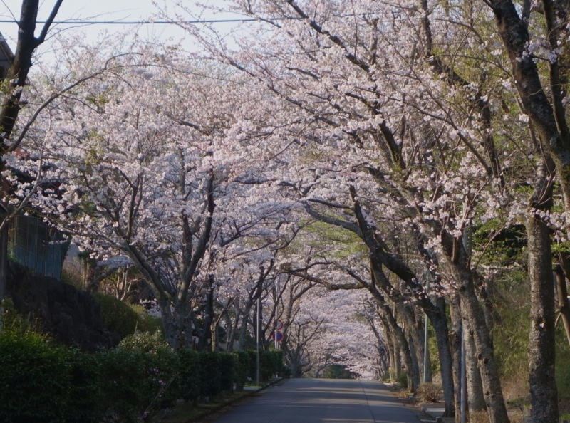 20180328164904