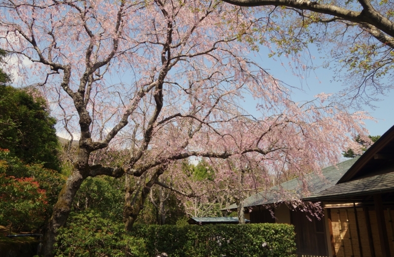 f:id:dancingbrave1986:20180331125212j:image f:id:dancingbrave1986:20180331125212j:image