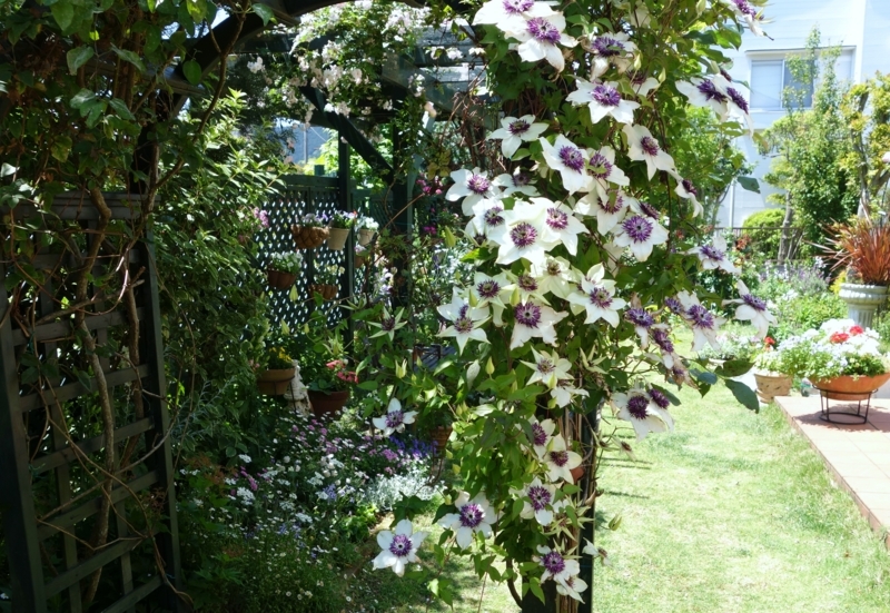 f:id:dancingbrave1986:20180522114555j:image f:id:dancingbrave1986:20180522114555j:image