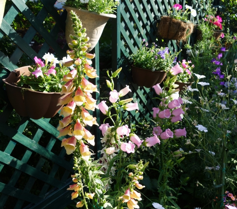 f:id:dancingbrave1986:20180522172939j:image f:id:dancingbrave1986:20180522172939j:image