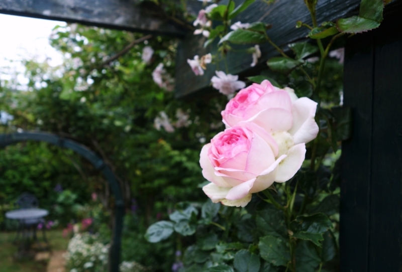 f:id:dancingbrave1986:20180523111310j:image