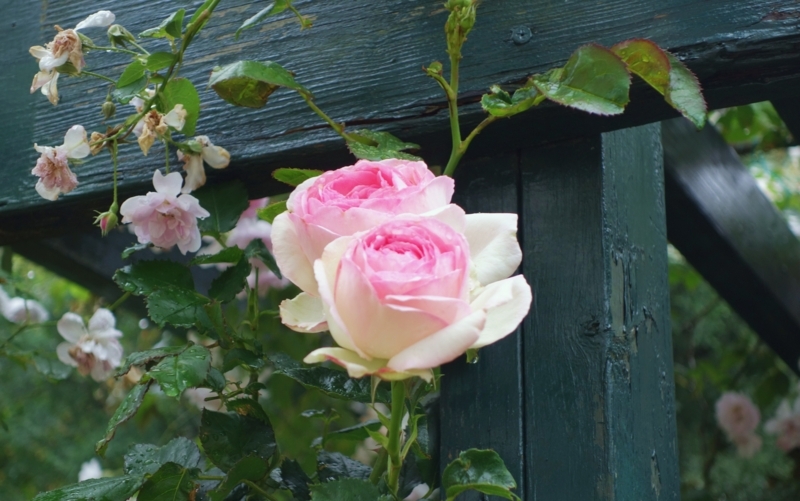 f:id:dancingbrave1986:20180523175402j:image