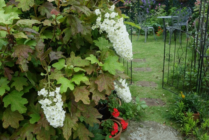 f:id:dancingbrave1986:20180617130559j:image f:id:dancingbrave1986:20180617130559j:image