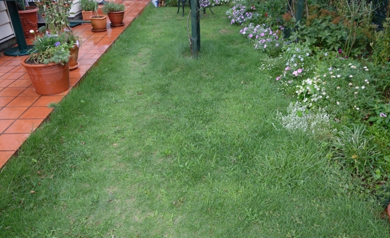 f:id:dancingbrave1986:20180714184819j:image f:id:dancingbrave1986:20180714184819j:image