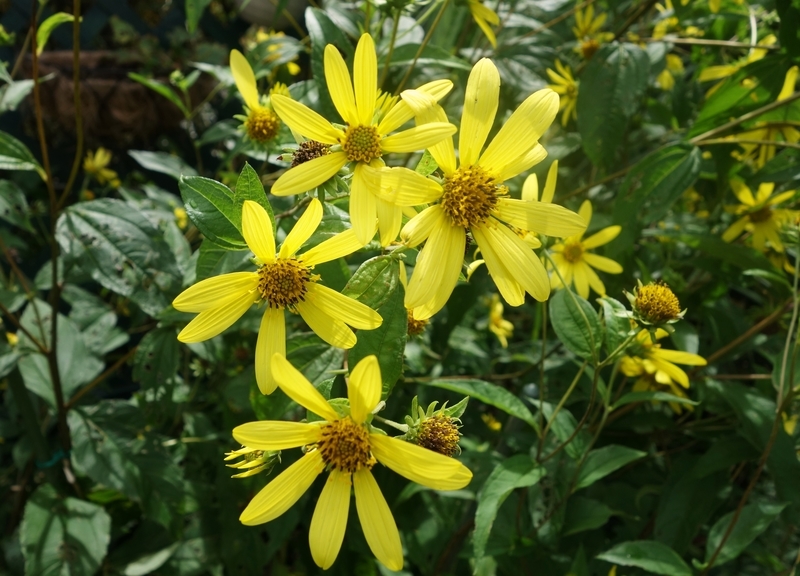 f:id:dancingbrave1986:20180908125058j:image f:id:dancingbrave1986:20180908125058j:image