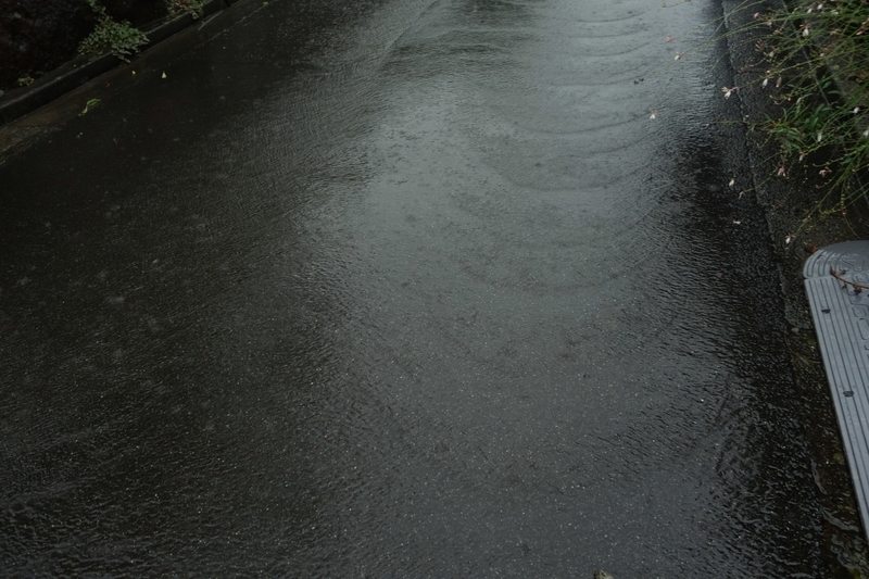 f:id:dancingbrave1986:20180910175002j:image