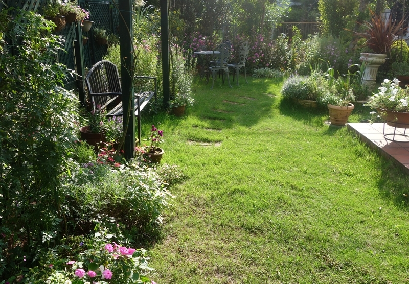 f:id:dancingbrave1986:20180918161102j:image