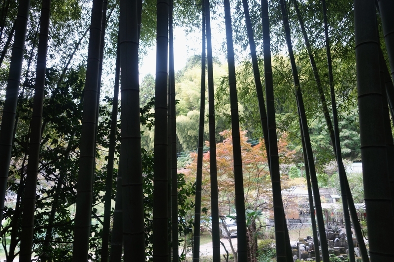 f:id:dancingbrave1986:20181026125233j:image