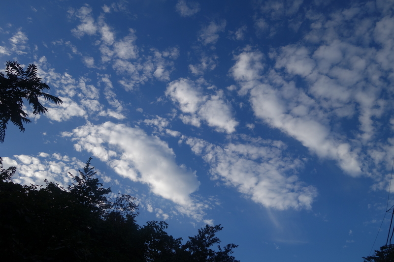 f:id:dancingbrave1986:20181030170634j:image