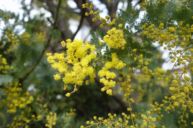 f:id:dancingbrave1986:20190126130318j:image f:id:dancingbrave1986:20190126130318j:image