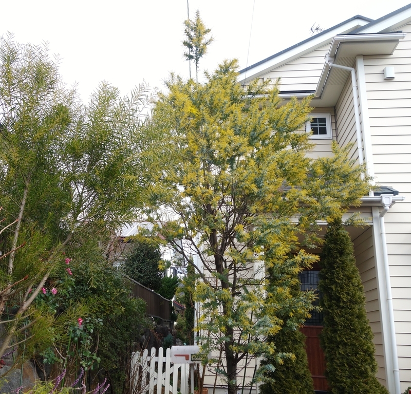 f:id:dancingbrave1986:20190126130403j:image f:id:dancingbrave1986:20190126130403j:image