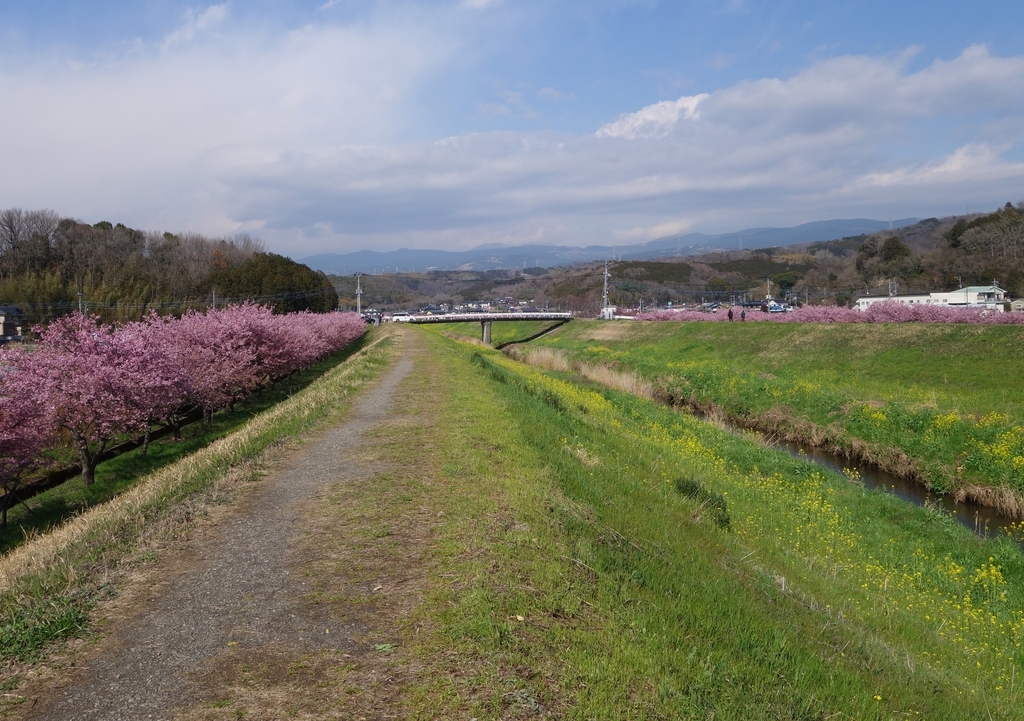 f:id:dancingbrave1986:20190305145757j:plain