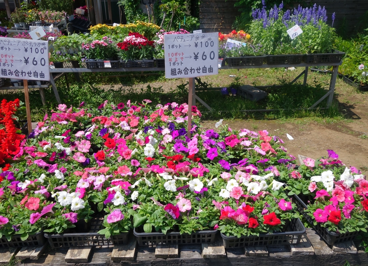 f:id:dancingbrave1986:20190517142440j:plain