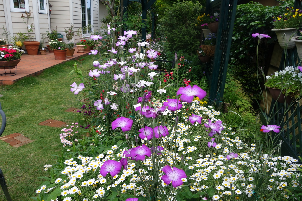 f:id:dancingbrave1986:20190519144234j:plain f:id:dancingbrave1986:20190519144234j:plain