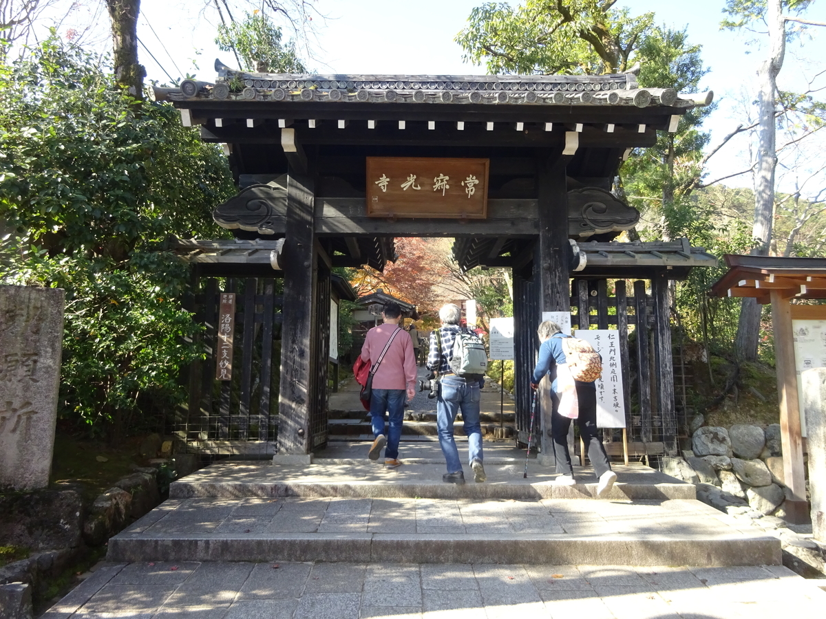 f:id:dancingbrave1986:20201127104616j:plain