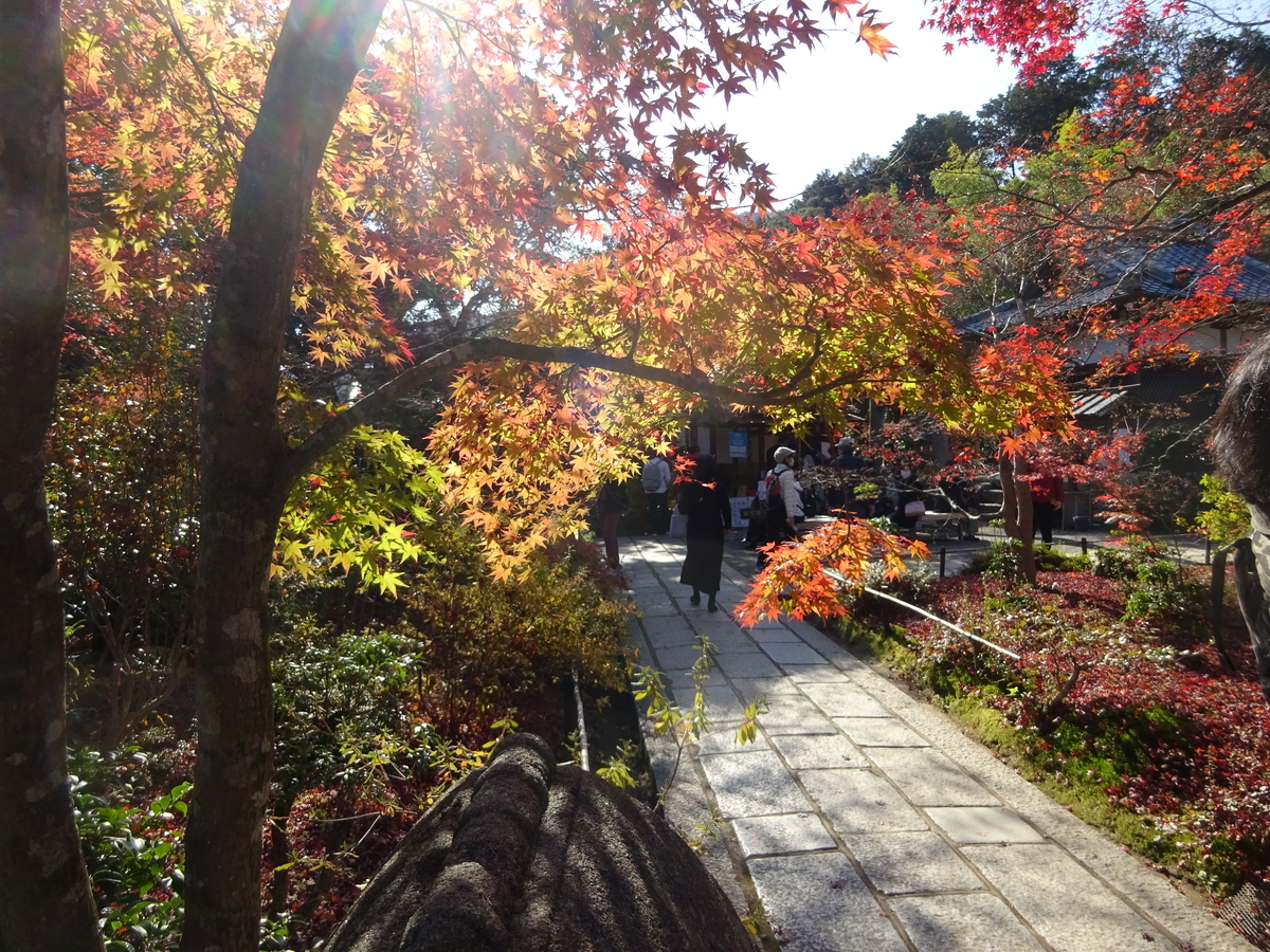 f:id:dancingbrave1986:20201127104921j:plain