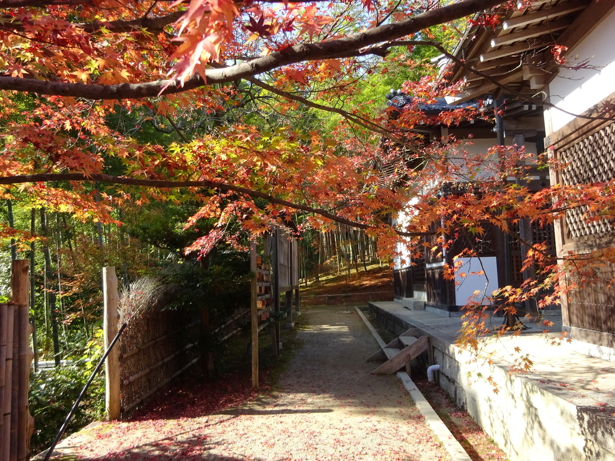 f:id:dancingbrave1986:20201127105050j:plain