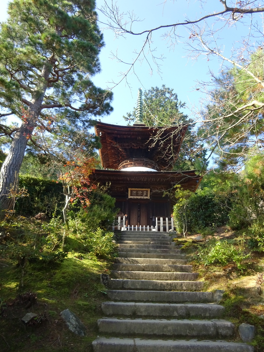 f:id:dancingbrave1986:20201127105353j:plain