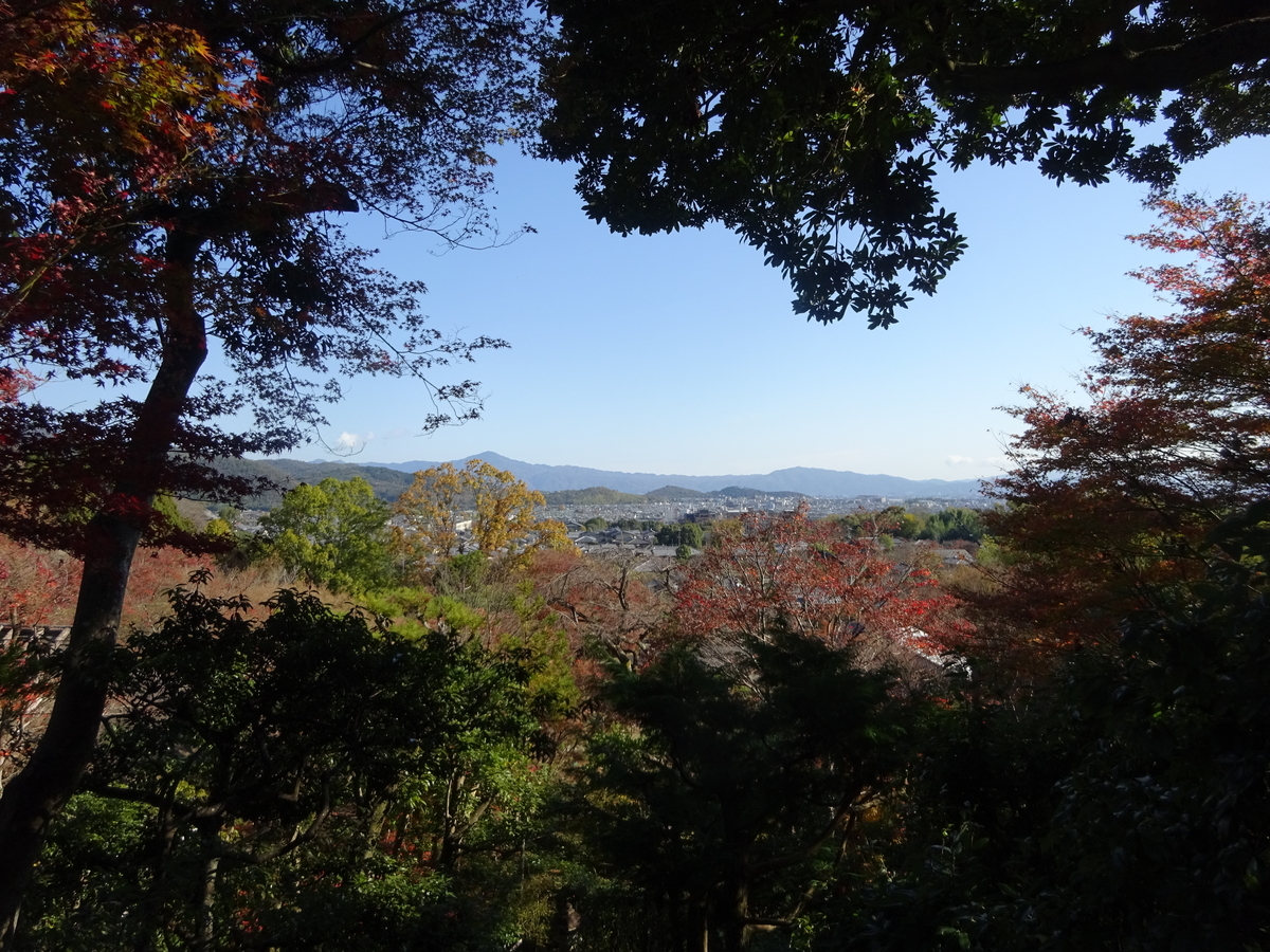 f:id:dancingbrave1986:20201127110346j:plain