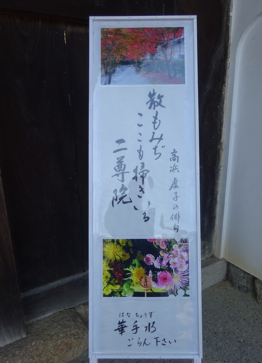 f:id:dancingbrave1986:20201127120159j:plain
