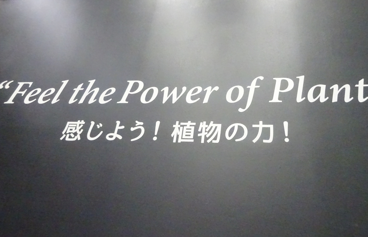 f:id:dancingbrave1986:20201129123544j:plain