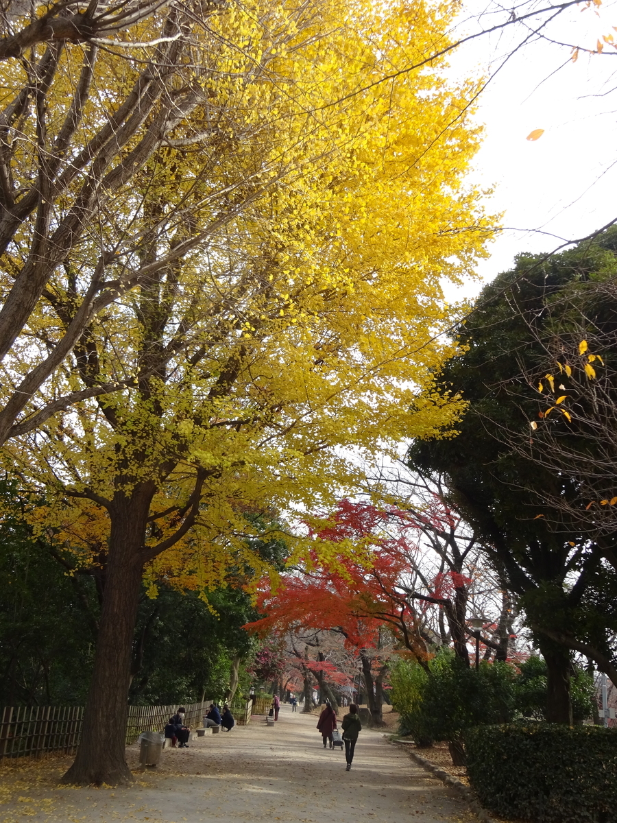 f:id:dancingbrave1986:20201212122714j:plain