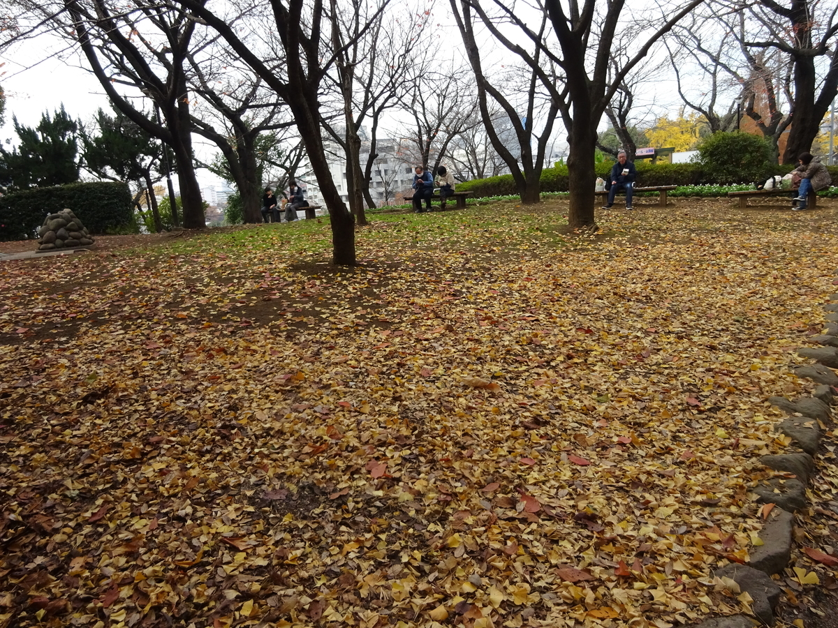f:id:dancingbrave1986:20201212122802j:plain