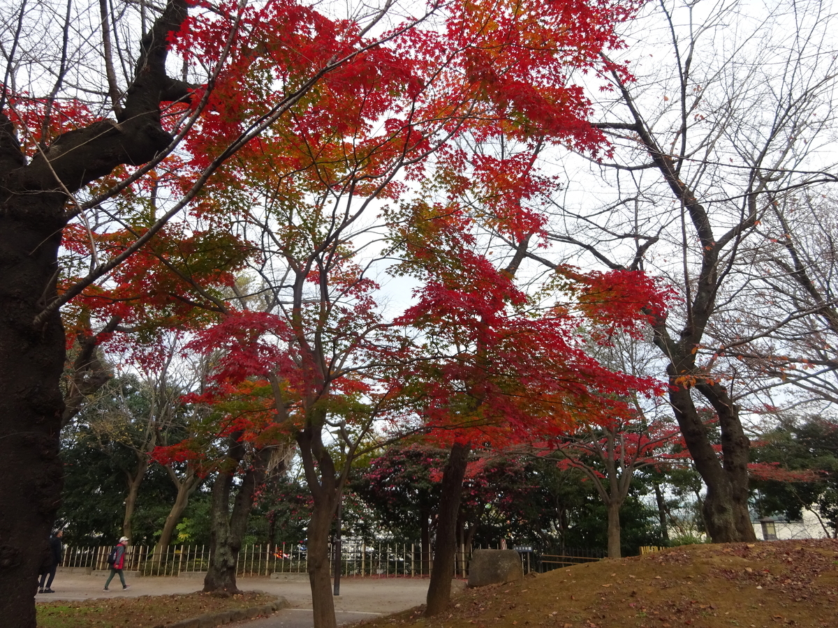 f:id:dancingbrave1986:20201212122933j:plain