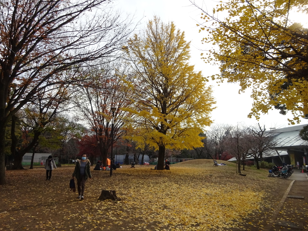 f:id:dancingbrave1986:20201212123603j:plain