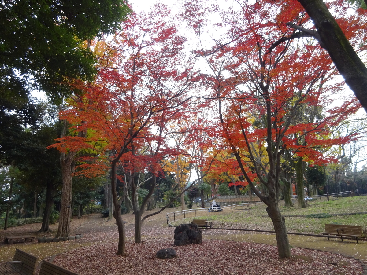 f:id:dancingbrave1986:20201212123756j:plain