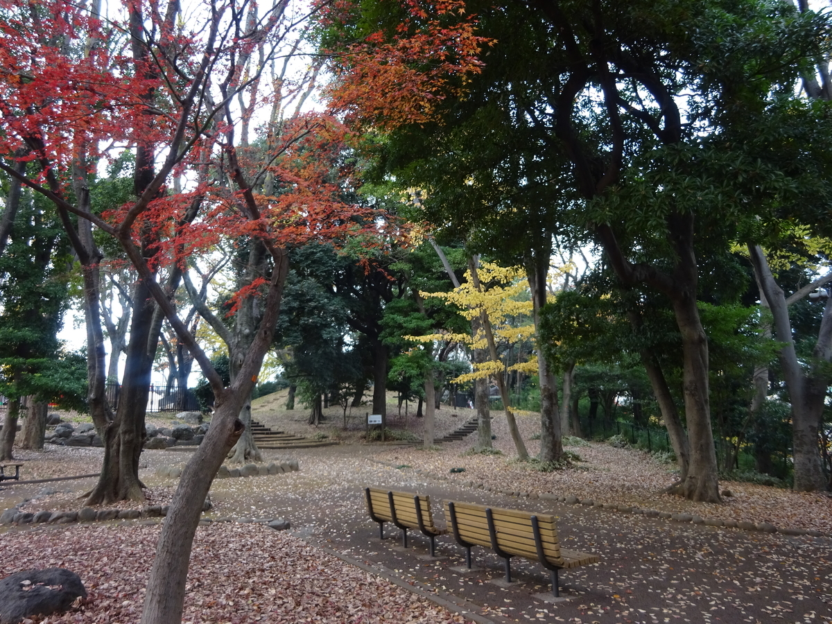 f:id:dancingbrave1986:20201212123837j:plain