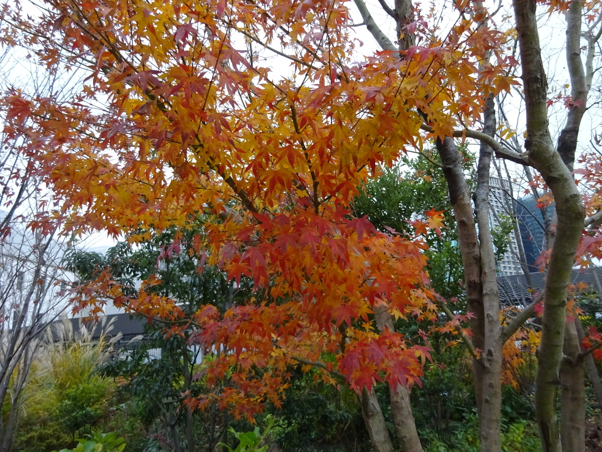 f:id:dancingbrave1986:20201219145611j:plain