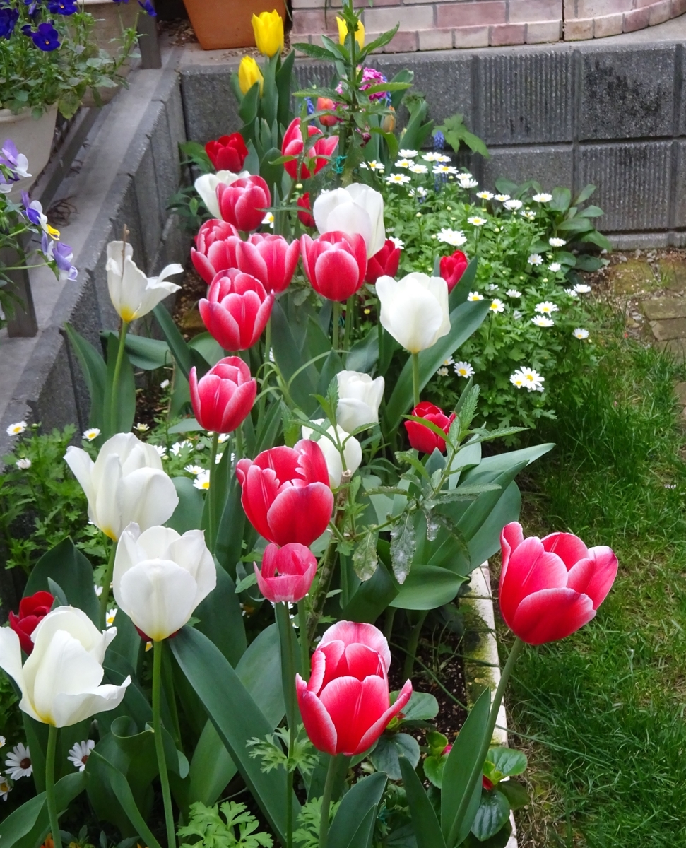 f:id:dancingbrave1986:20210404160545j:plain