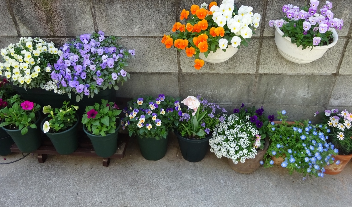 f:id:dancingbrave1986:20210412085642j:plain