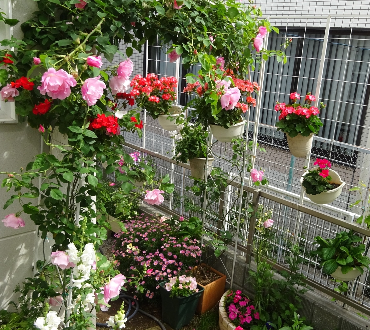 f:id:dancingbrave1986:20210425090349j:plain