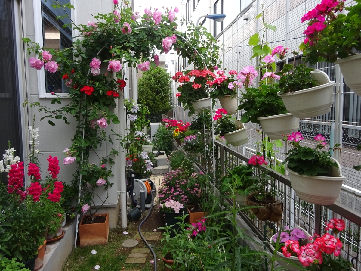 f:id:dancingbrave1986:20210425160102j:plain