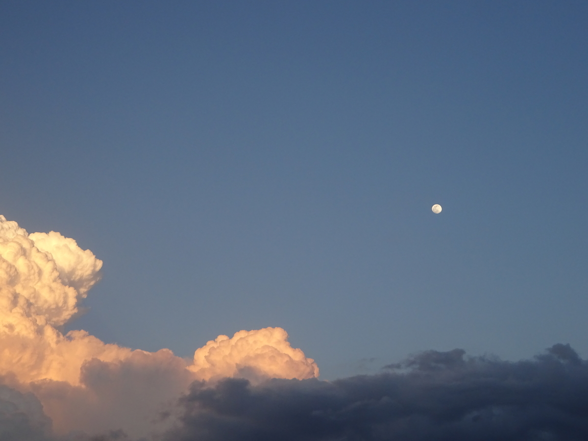 f:id:dancingbrave1986:20210425181714j:plain