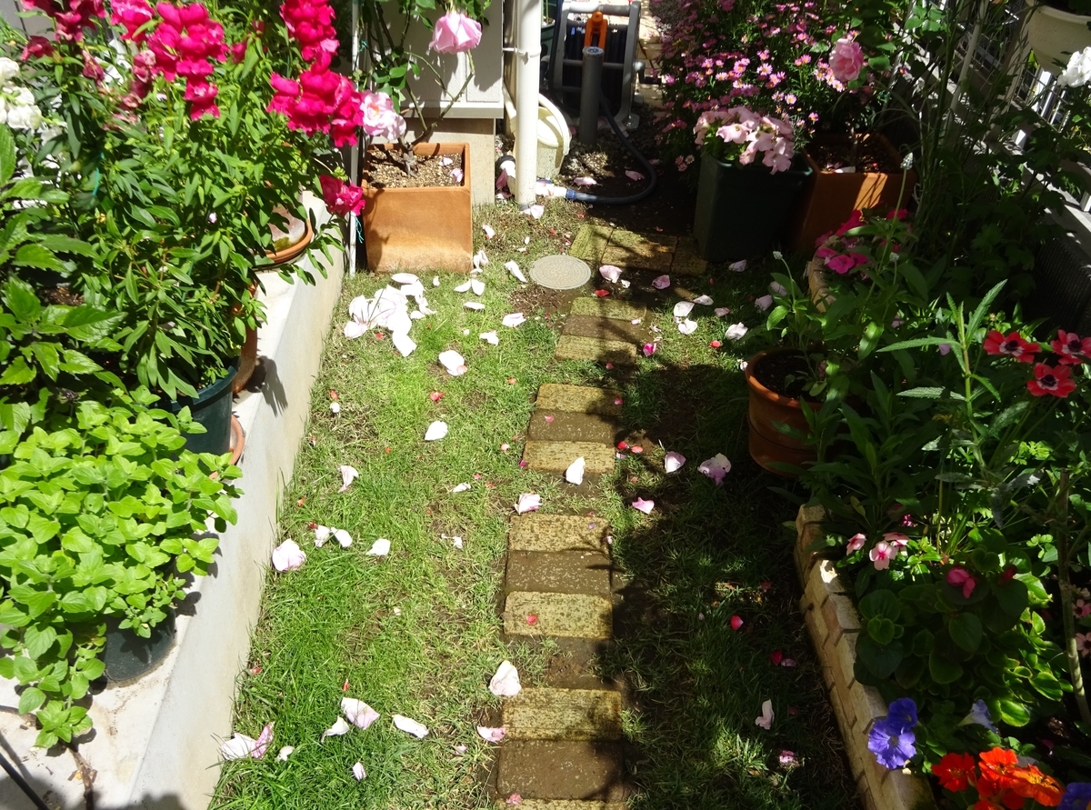 f:id:dancingbrave1986:20210430094723j:plain