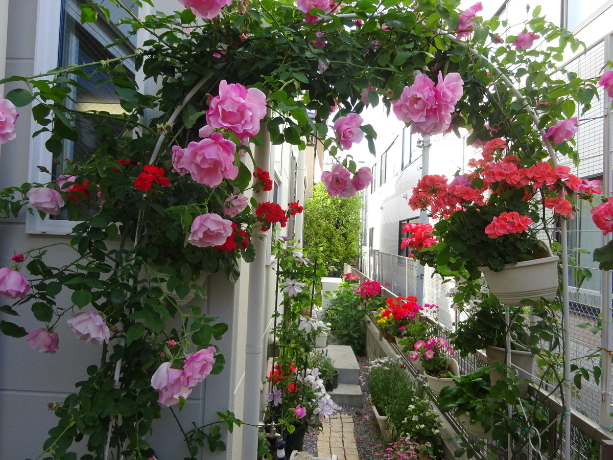 f:id:dancingbrave1986:20210430153817j:plain