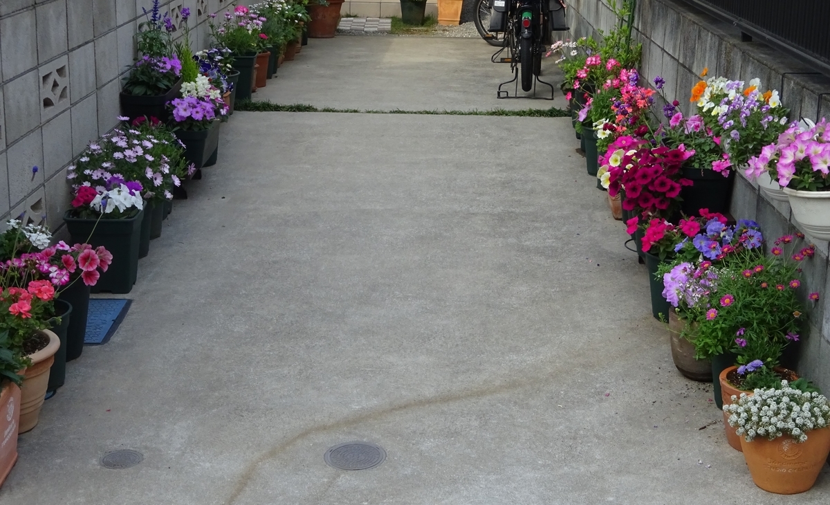 f:id:dancingbrave1986:20210509161701j:plain