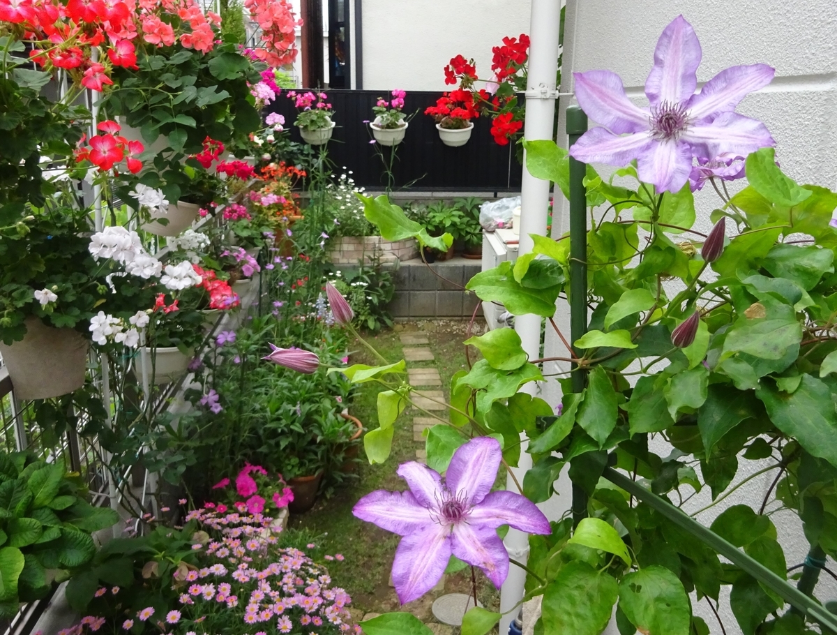 f:id:dancingbrave1986:20210512155410j:plain