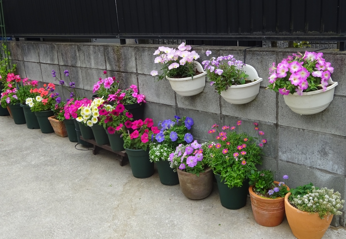 f:id:dancingbrave1986:20210516101515j:plain