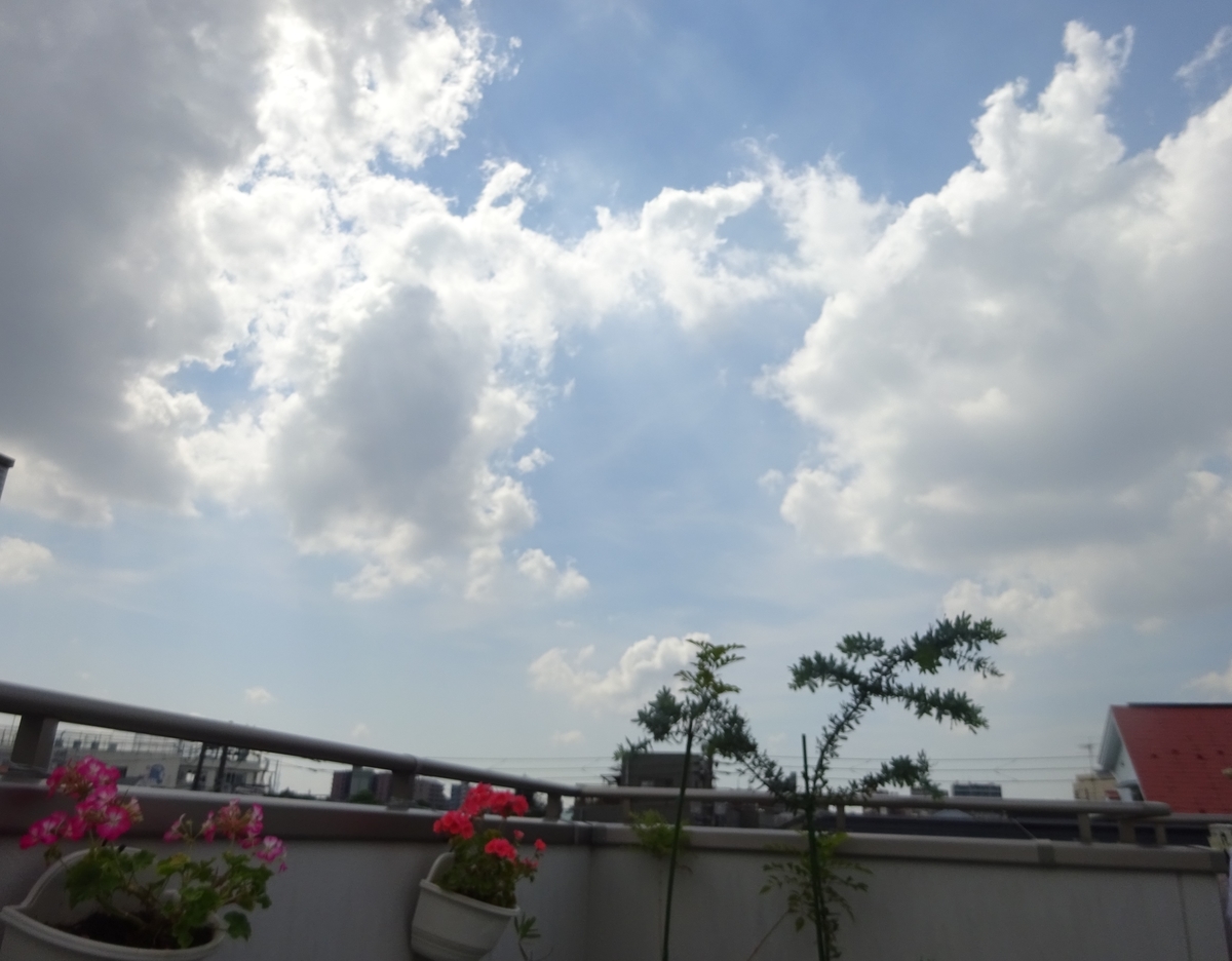 f:id:dancingbrave1986:20210611092615j:plain