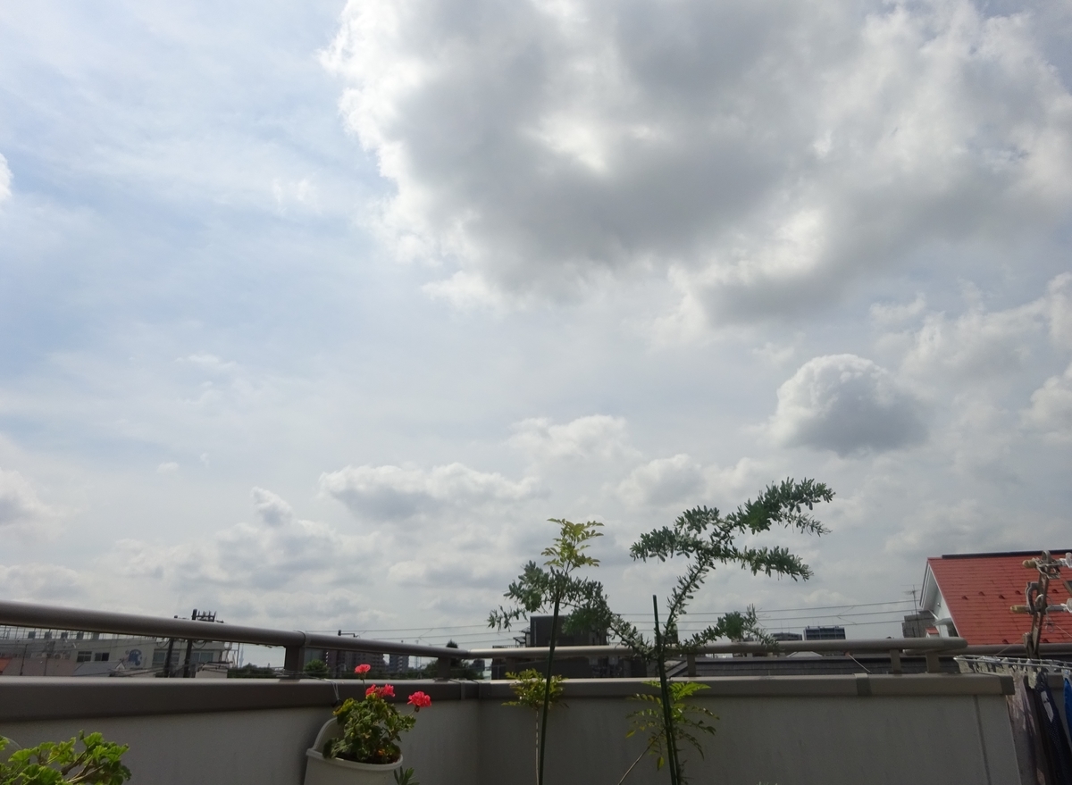 f:id:dancingbrave1986:20210626092808j:plain
