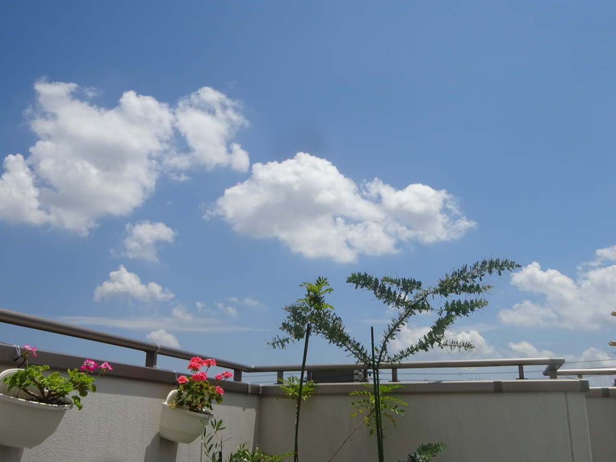 f:id:dancingbrave1986:20210729121719j:plain