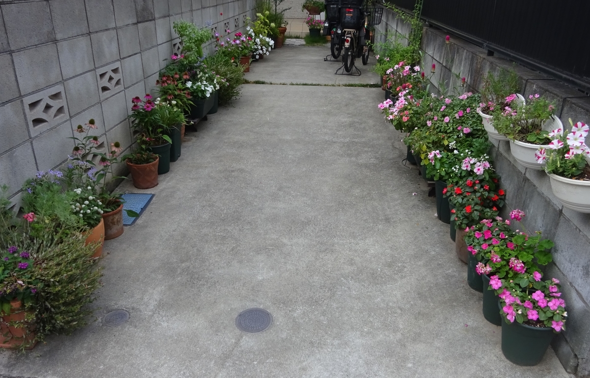 f:id:dancingbrave1986:20210729180751j:plain