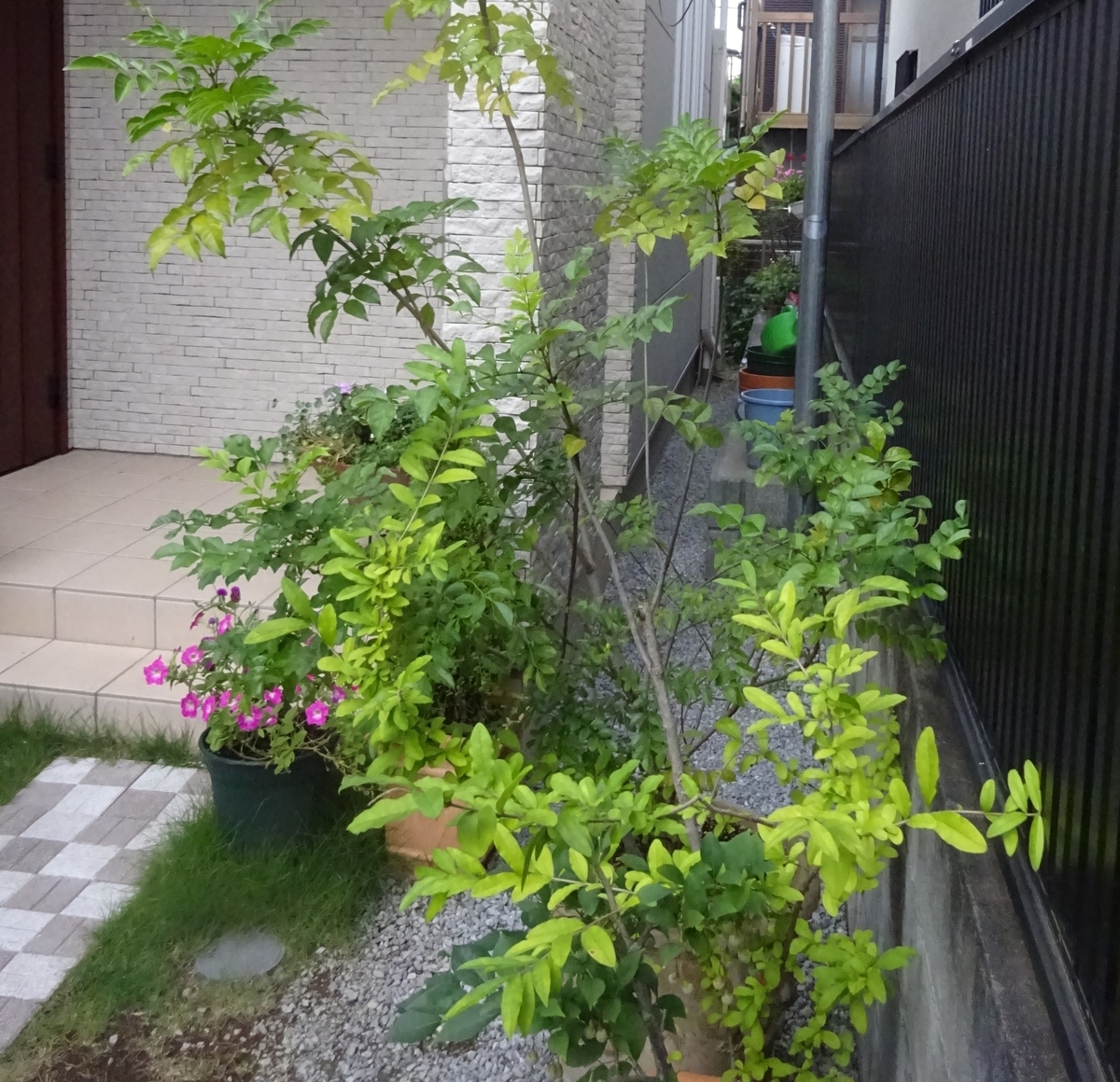 f:id:dancingbrave1986:20210729180840j:plain