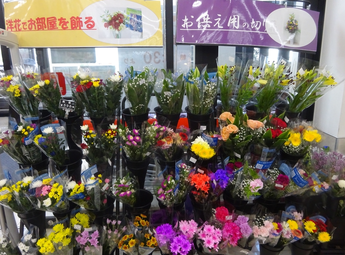 f:id:dancingbrave1986:20210804143227j:plain
